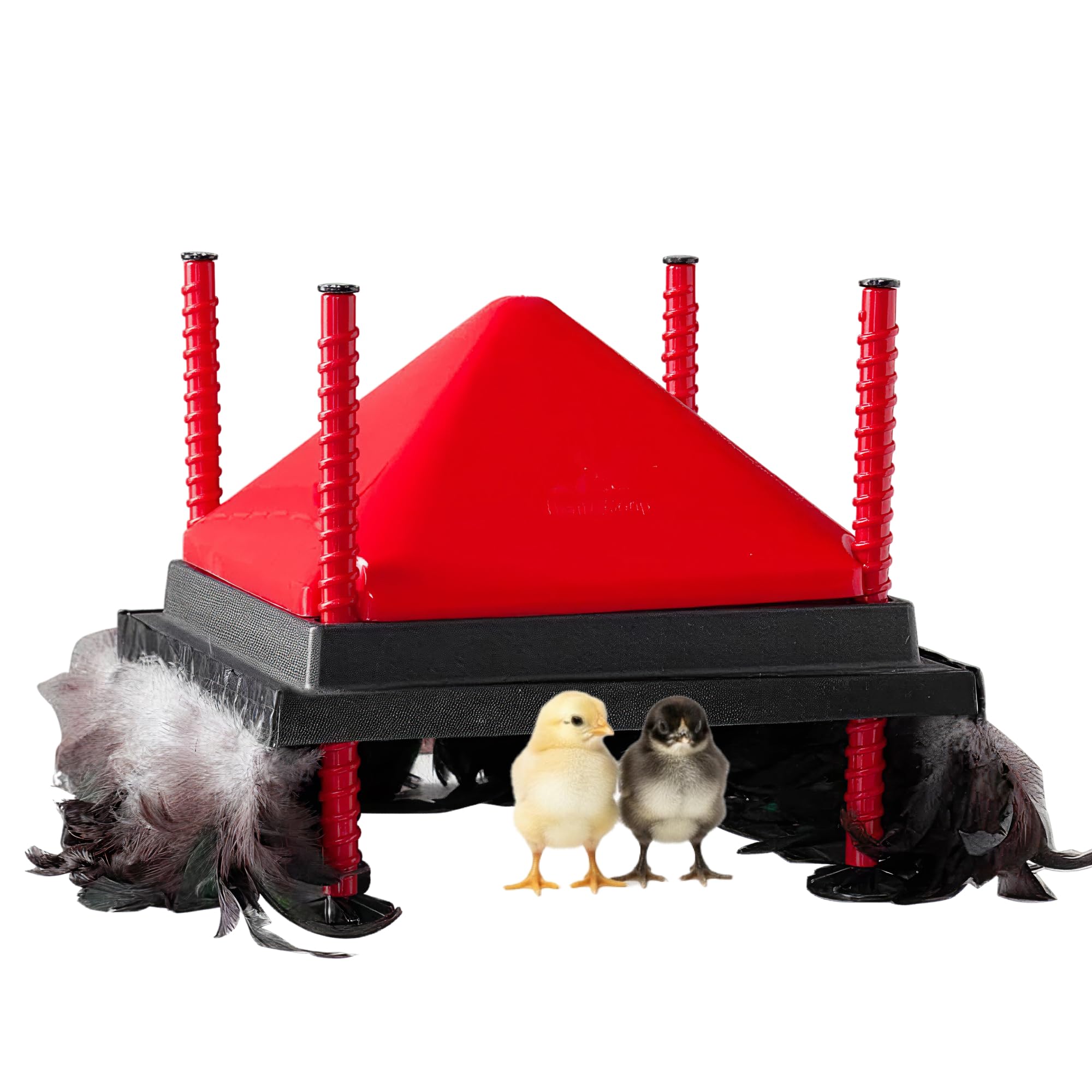 RentACoop 12x12 brooder plate top view shows even warmth for chicks