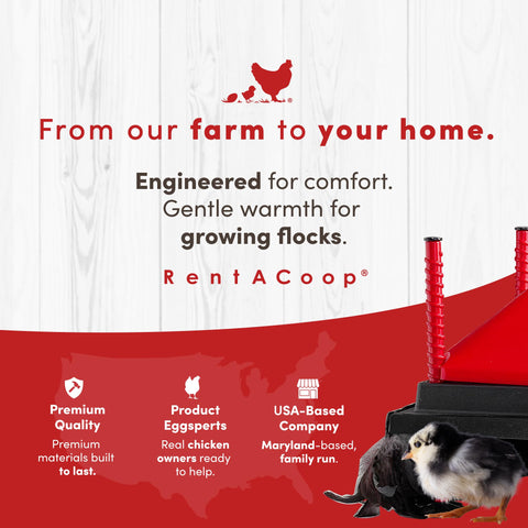 RentACoop chick brooder in-box shows complete starter kit