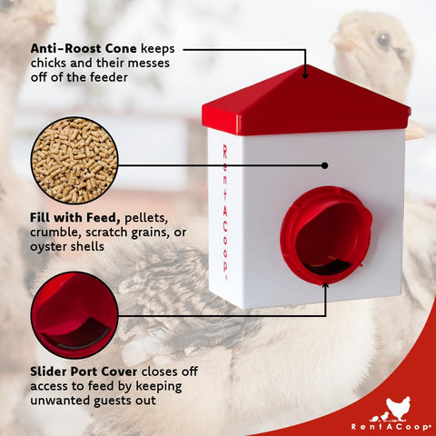 RentACoop Drinker auto-fill cup shows convenient water access.