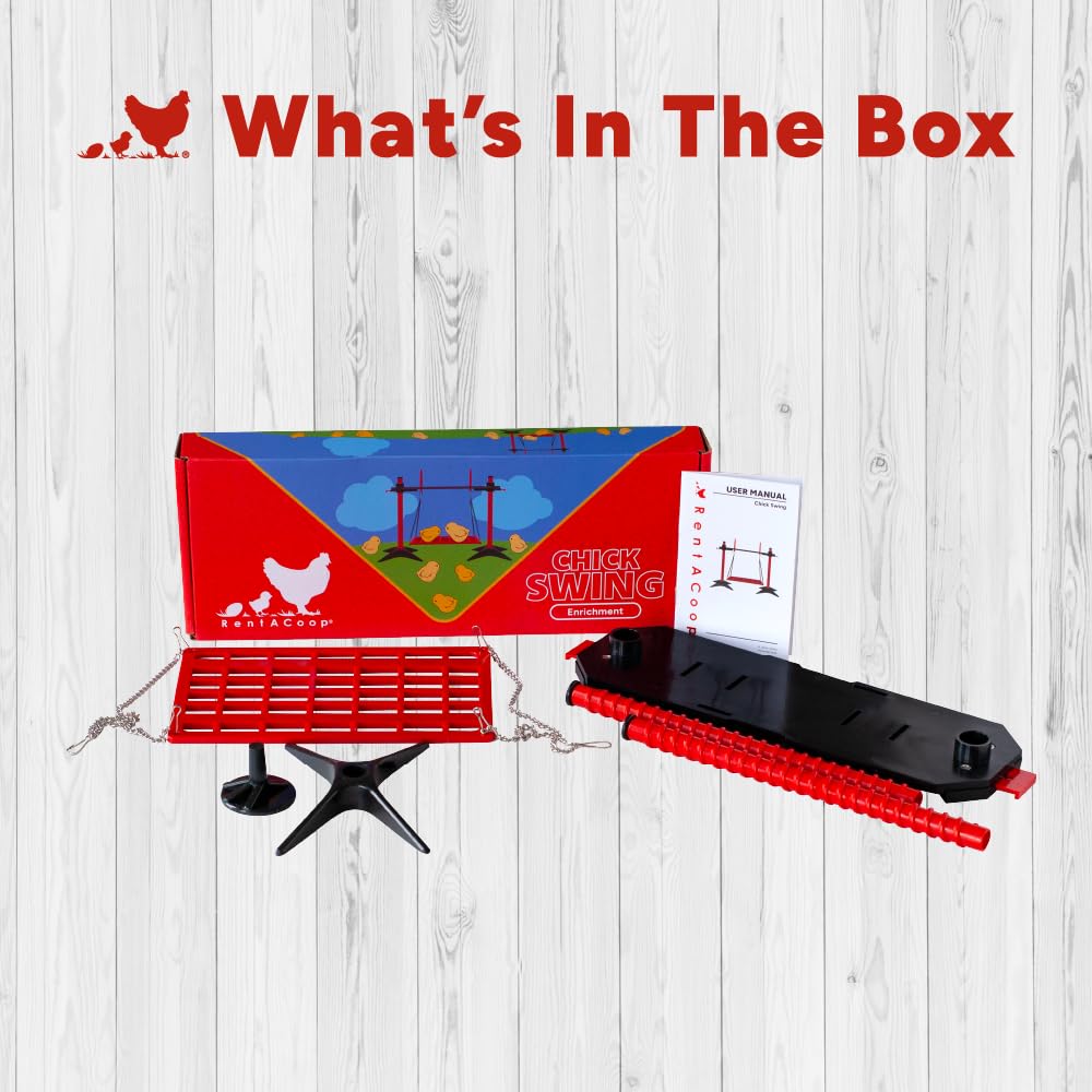 RentACoop chick swing offers stable footing for safe play.