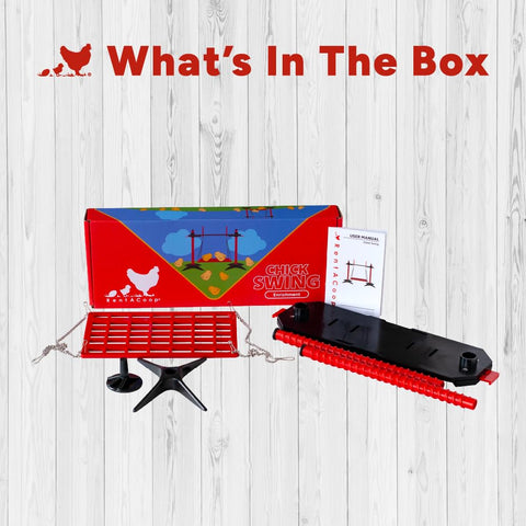 RentACoop chick swing offers stable footing for safe play.