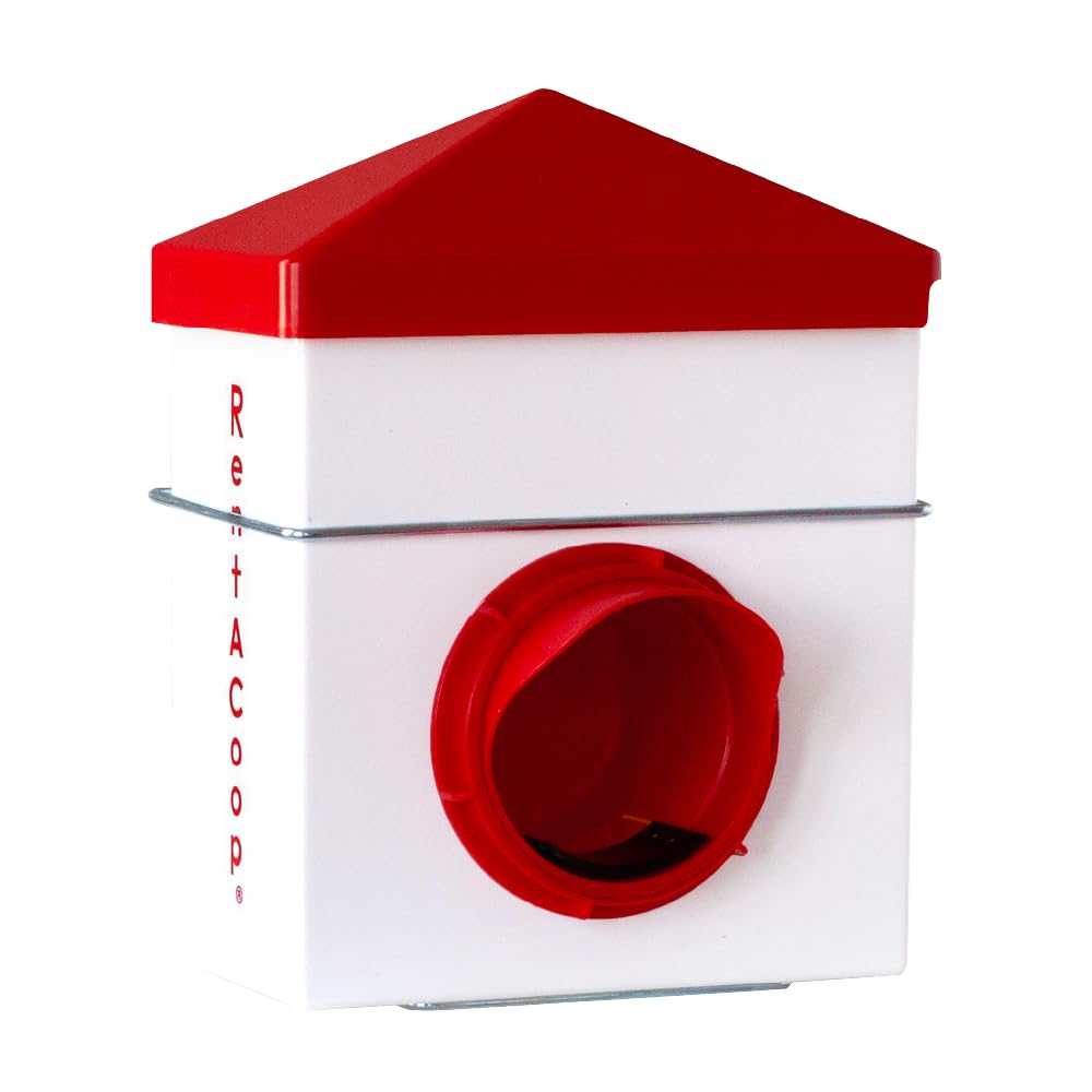 RentACoop Chick2Chicken 2.5lb feeder shows compact capacity for small flocks.