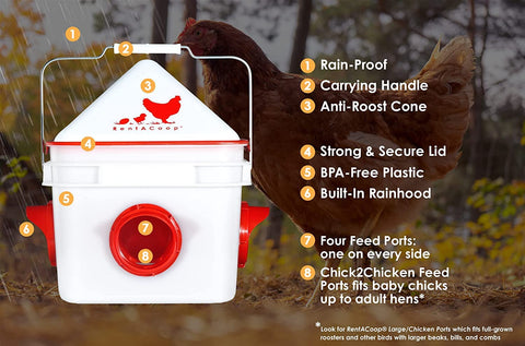 RentACoop Chick2Chicken four-port design featured to support a growing flock