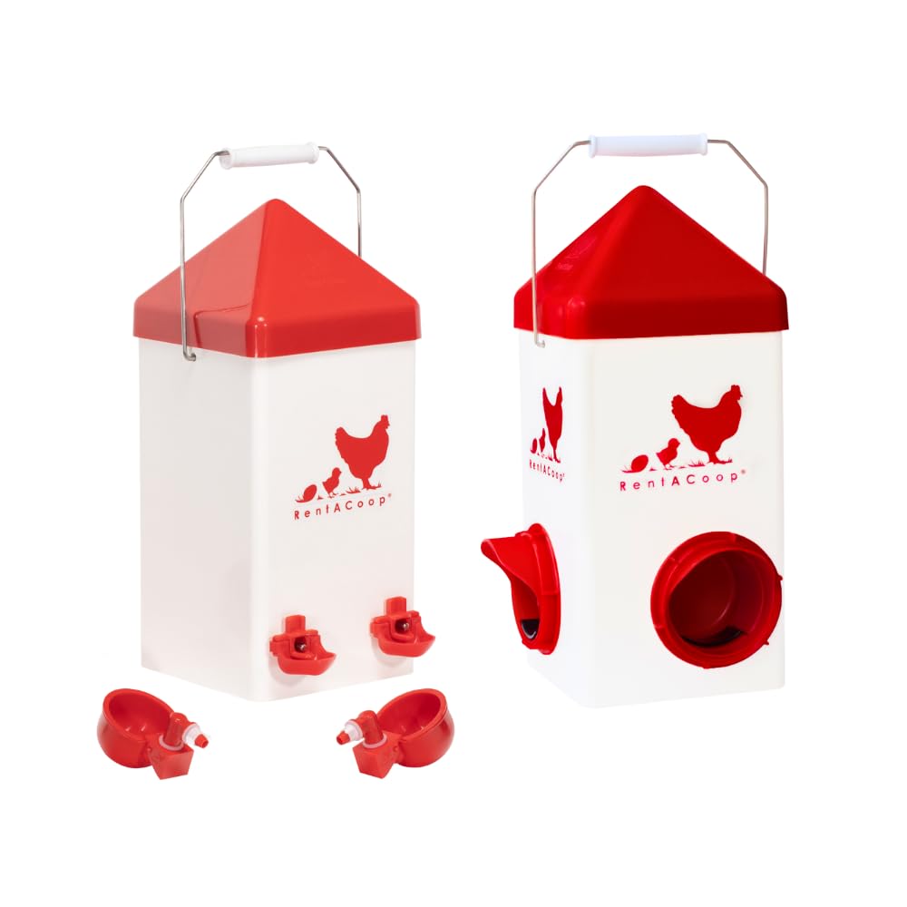 RentACoop Chick2Chicken 5lb feeder keeps feed tidy and accessible