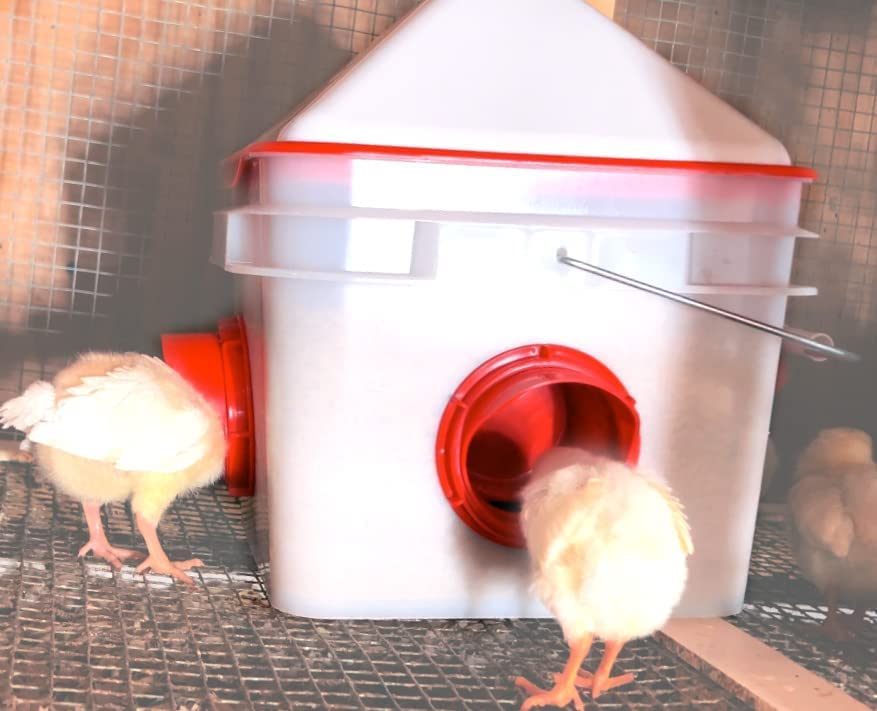 RentACoop Chick2Chicken box contents listing shown with feeder, ports, cone, and lid