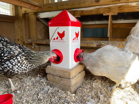 RentACoop Chick2Chicken feeder shows sliders on the ports for controlled access.