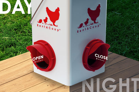 RentACoop Chick2Chicken easy to carry handle for quick setup
