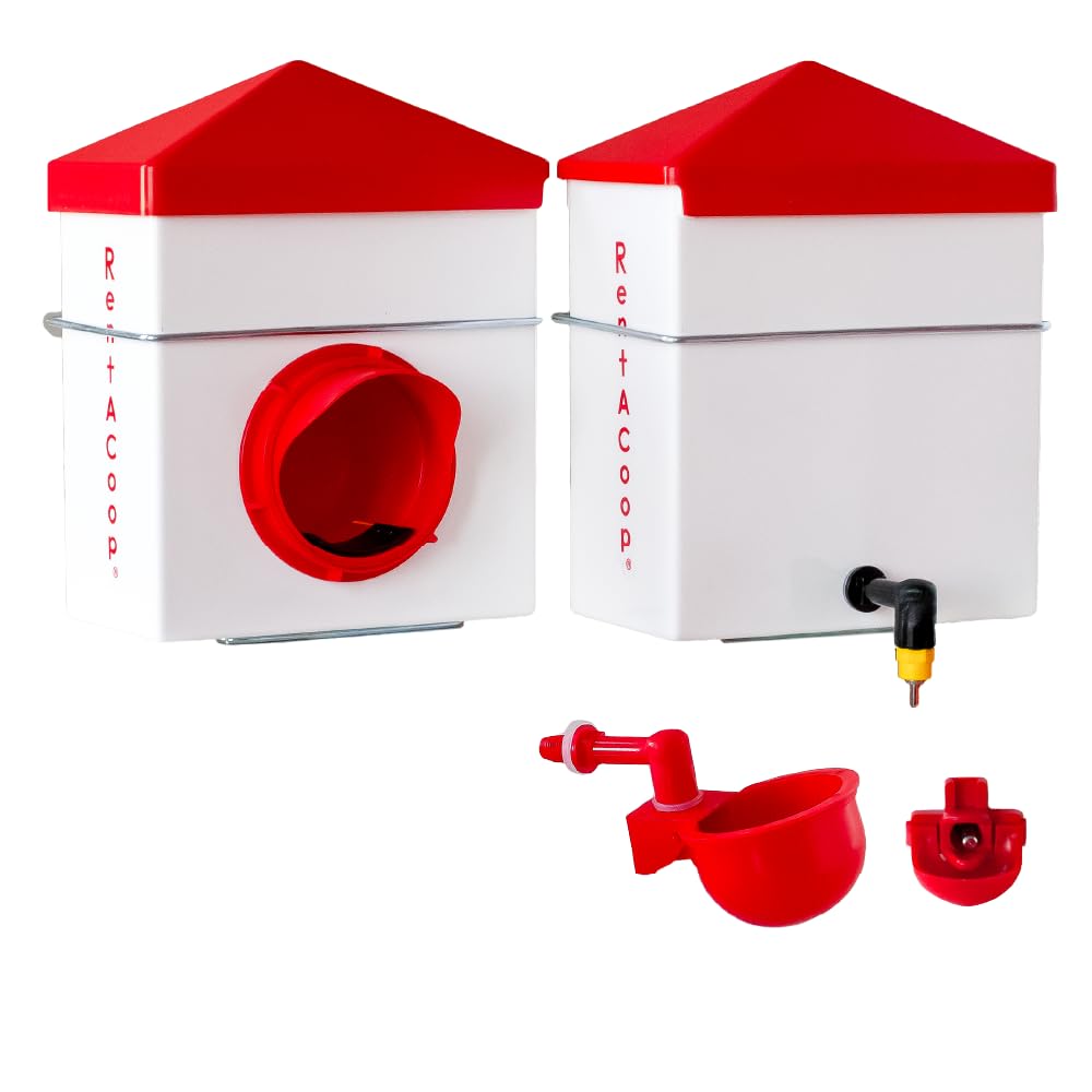 RentACoop Chick2Chicken feeder anti-roost lid keeps mess off.