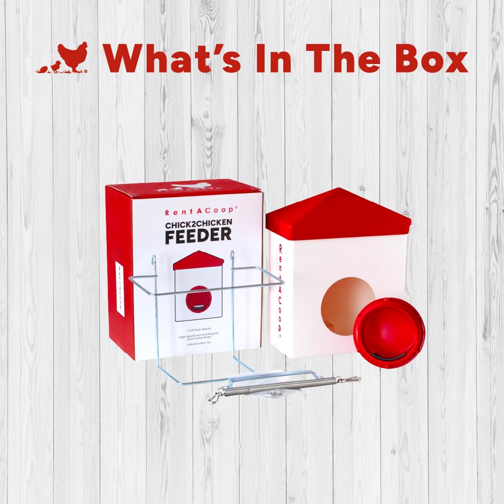 RentACoop Chick2Chicken versatile feeder supports pellets, crumble, shells for varied diets.