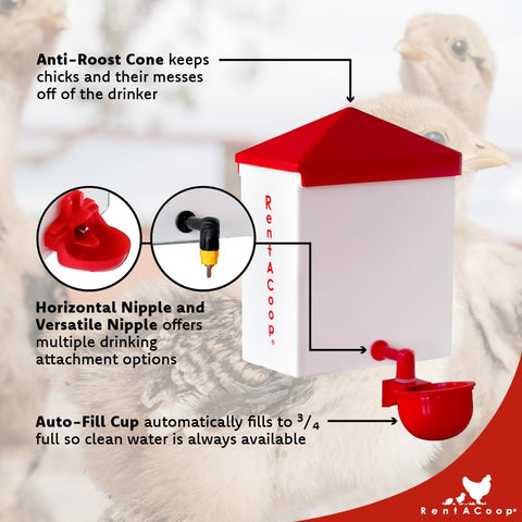 RentACoop Chick2Chicken set in packaging highlights complete flock solution.