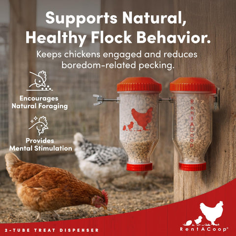 RentACoop included treat scoop illustrates quick refills and family-friendly setup
