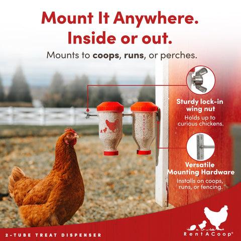 RentACoop indoor-outdoor use image shows versatile placement in coop or run
