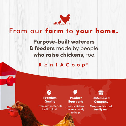 RentACoop compact waterer suited for chicks, quail, and other small birds.