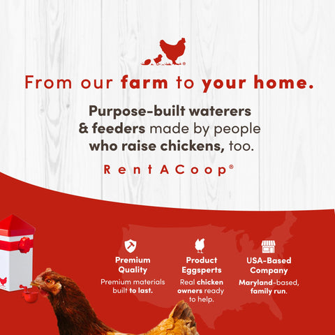 RentACoop complete-waterer-kit-box contains everything you need.