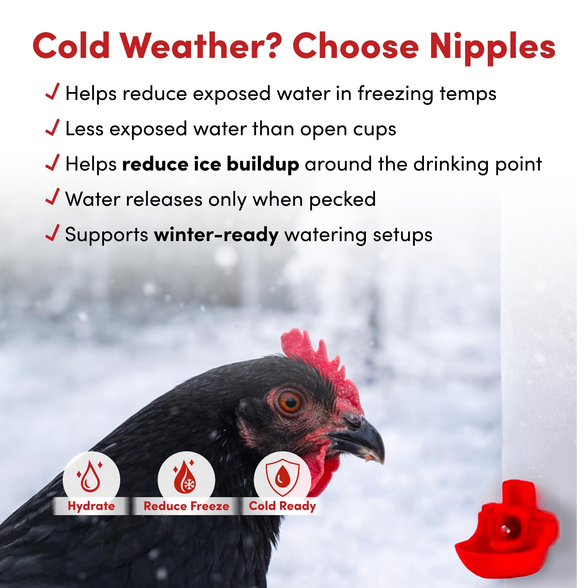 RentACoop complete waterer kit includes everything needed for setup.