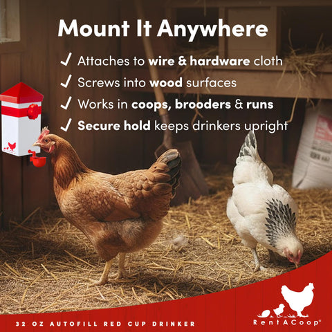 RentACoop coop-clip installation secures the waterer to wire or wood.