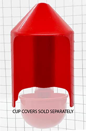 RentACoop bonus cup included offers extra value for flexible setups