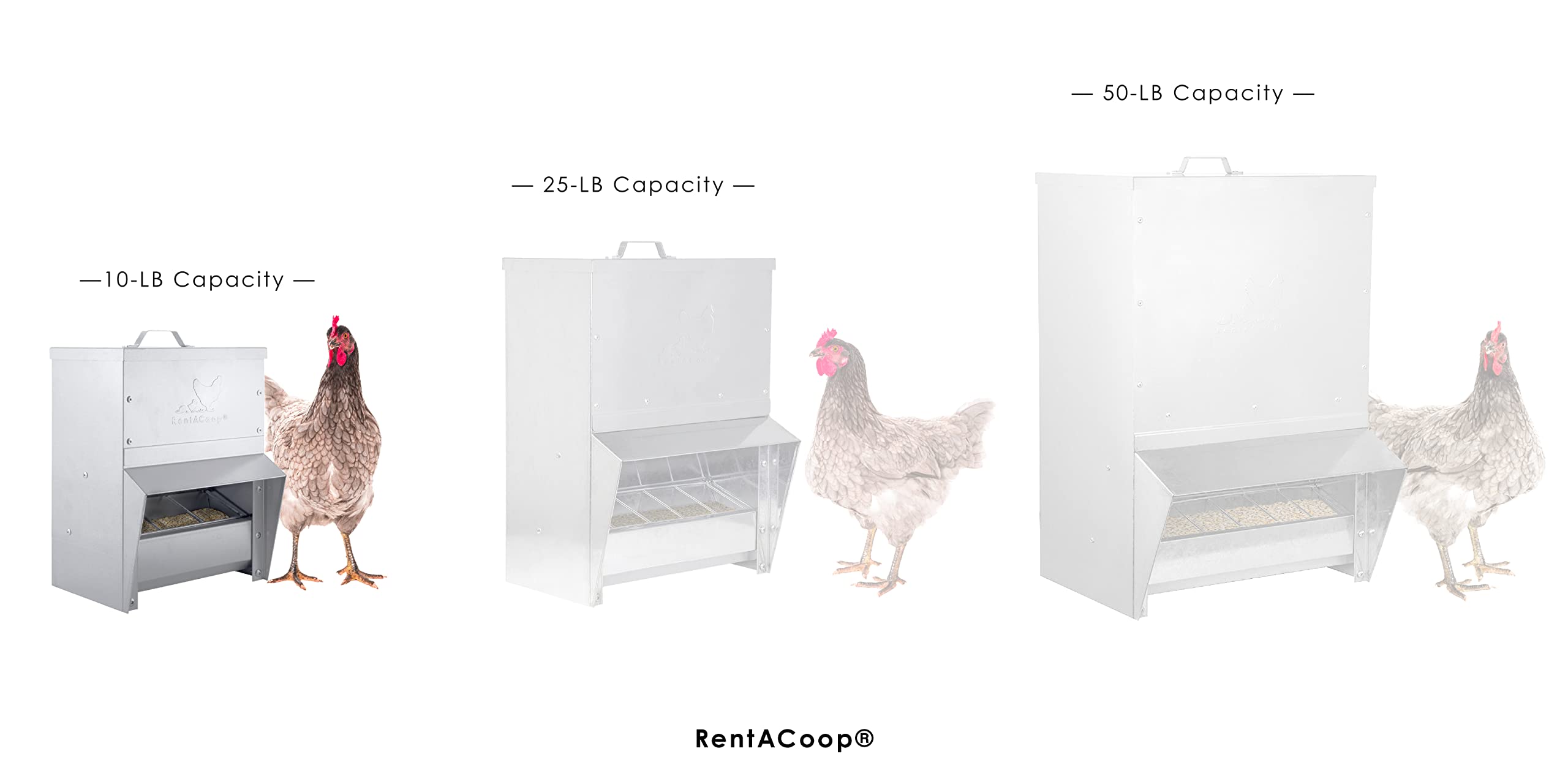 Durable galvanized metal construction by RentACoop for long-lasting use