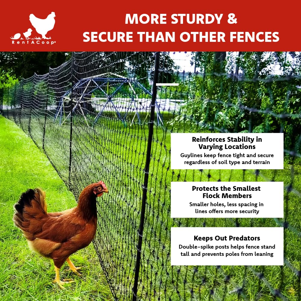 RentACoop durable posts provide strong support to prevent sagging