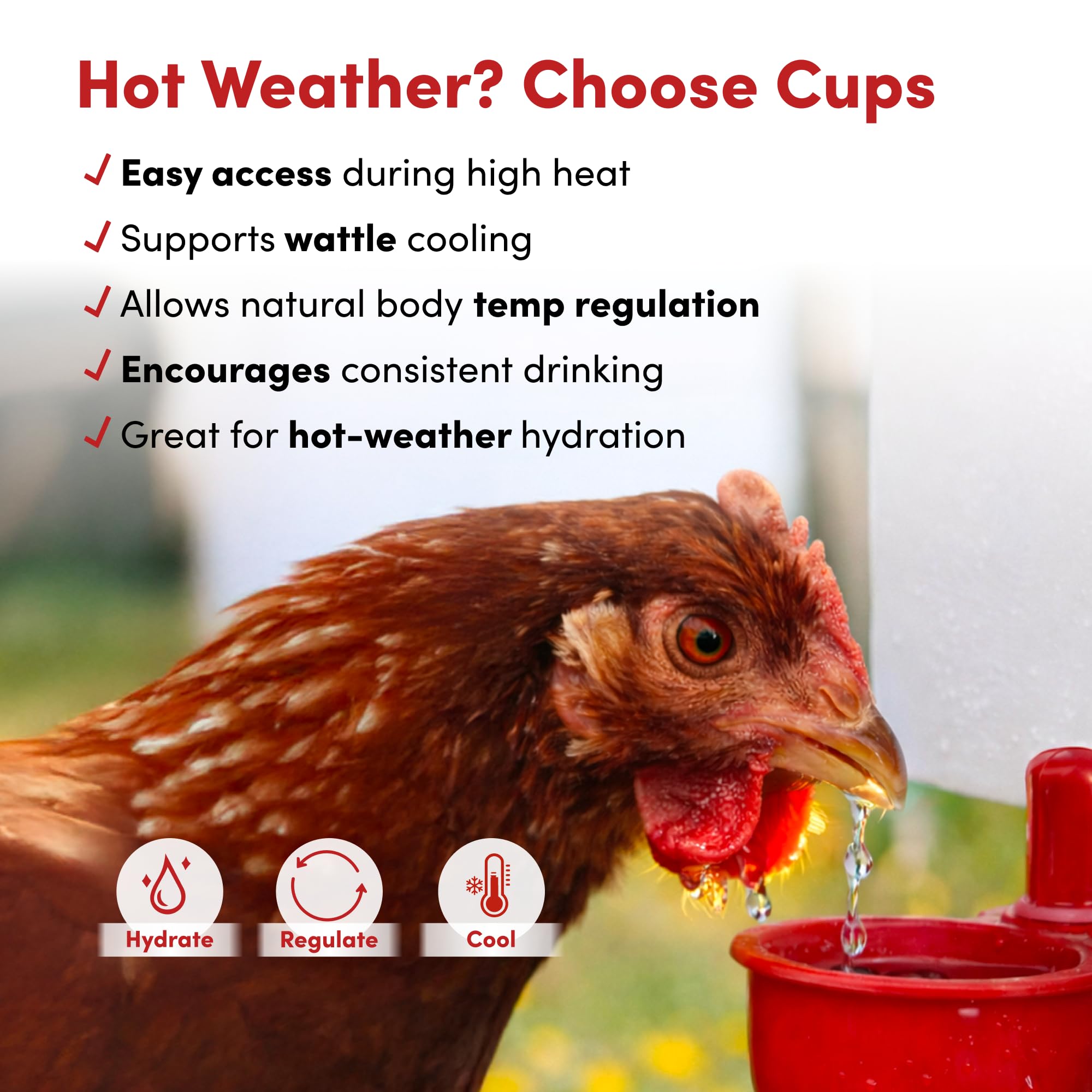 RentACoop sliding anti-roost lid enables easy top-fill refills.