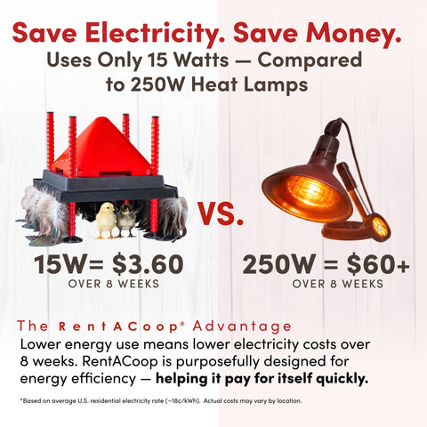 RentACoop energy-efficient heat plate uses only 15W