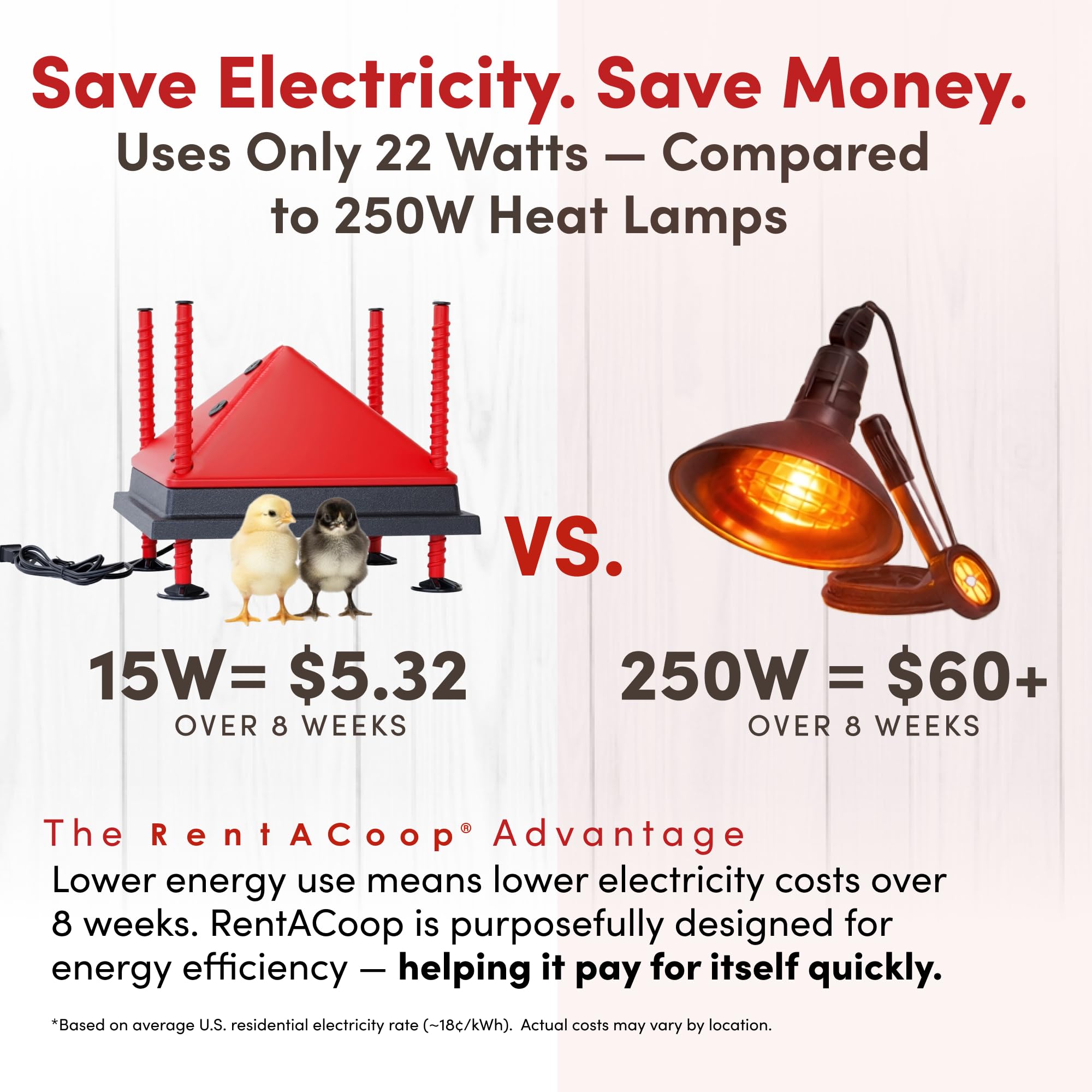 RentACoop energy-saving 22W plate lowers power use while keeping chicks warm.