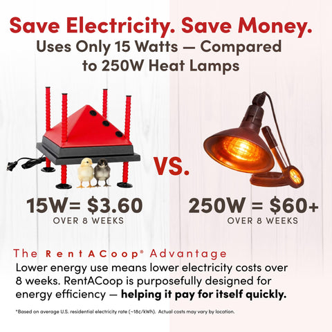 RentACoop energy-saving heat plate reduces power use