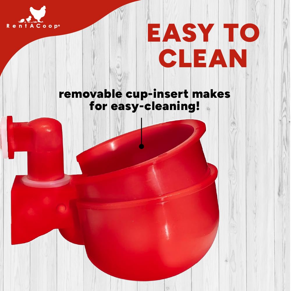 RentACoop feeder easy-refill design shown in action.