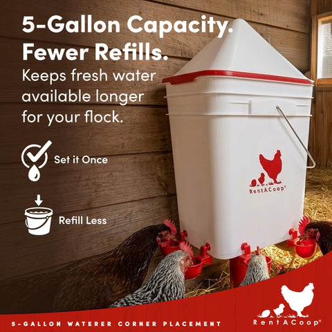 RentACoop five-gallon capacity minimizes frequent refills for busy coops.