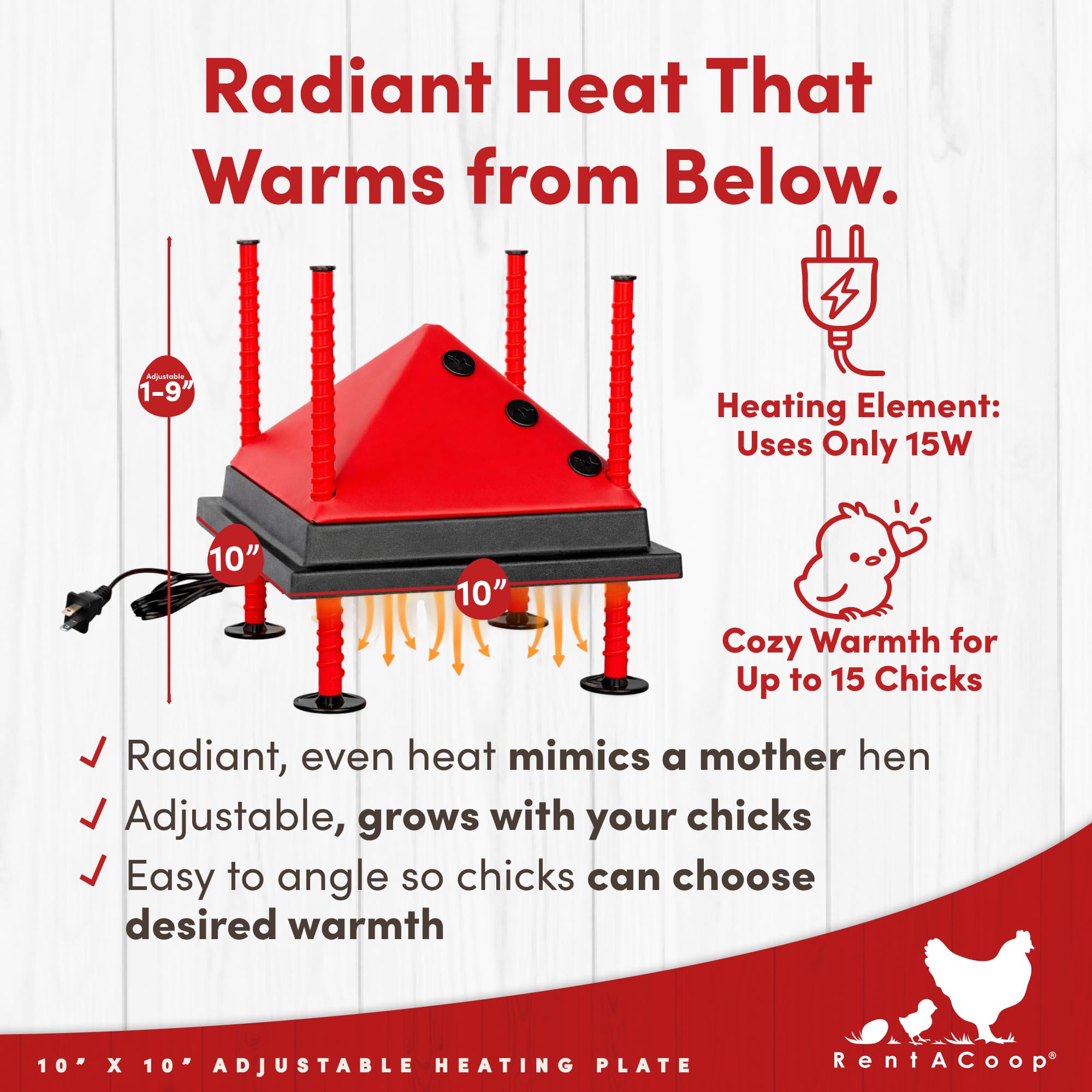 RentACoop foldable anti-roost cone keeps chicks off the plate
