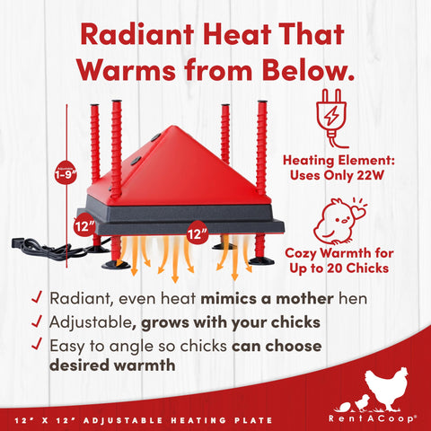 RentACoop foldable anti-roost cone keeps chicks off the plate for cleaner brooders.
