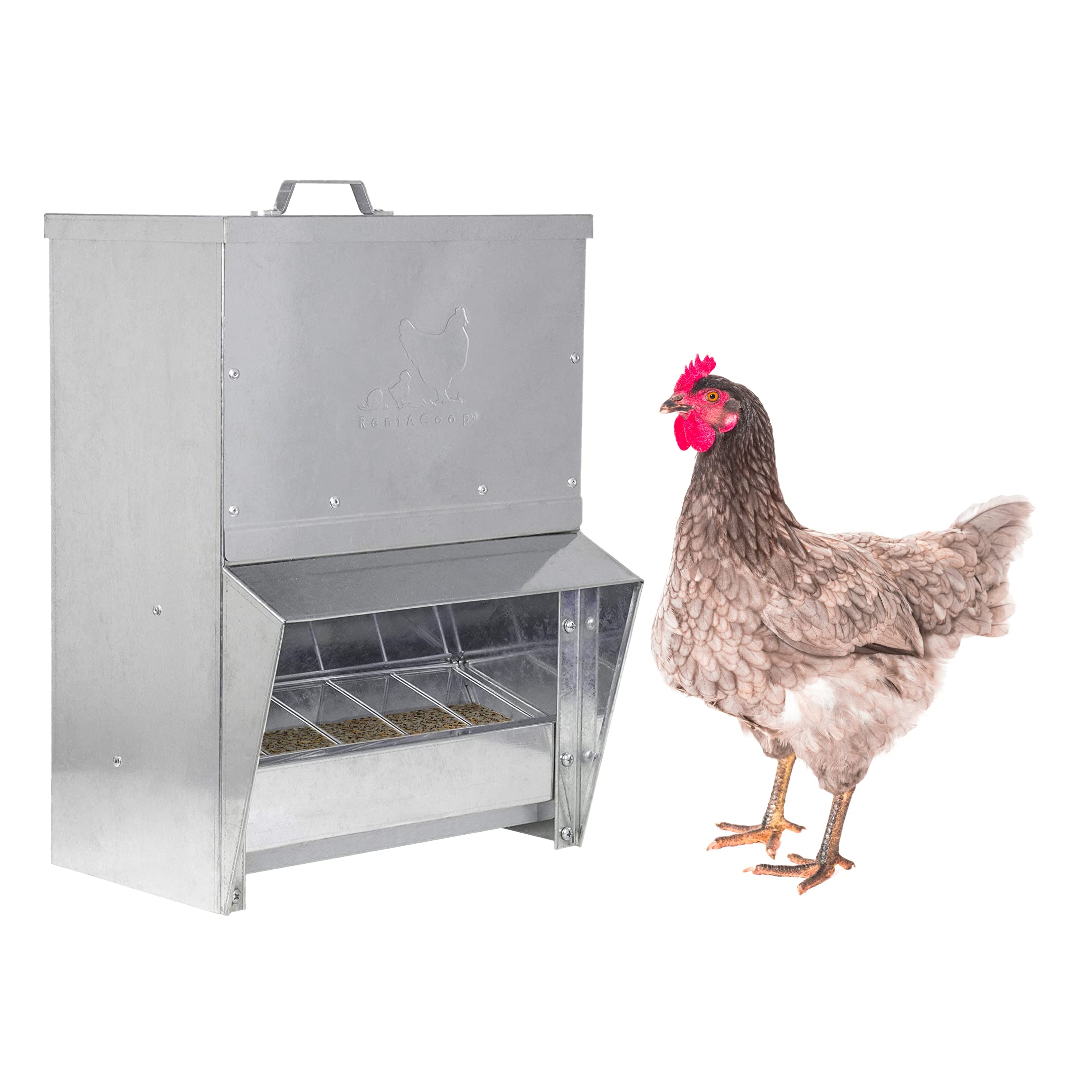 RentACoop galvanized trough feeder for a clean, no-mess feeding experience.