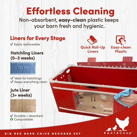 RentACoop Hatchling liners 0–3 weeks promote clean footing and comfort.