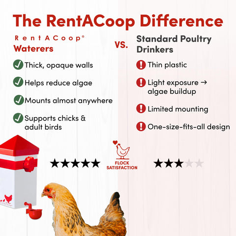 RentACoop horizontal-nipple-dish reduces spills, keeping water in the cup.