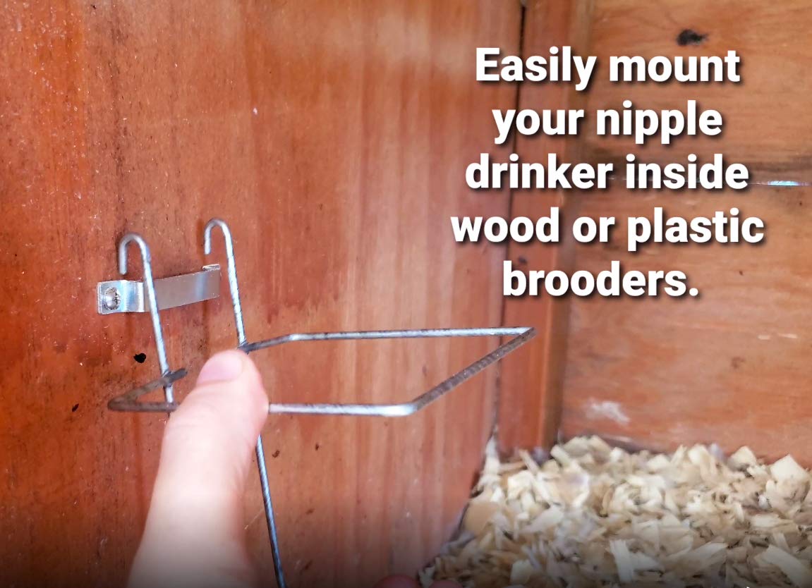 RentACoop bracket shown indoors or outdoors on a surface.