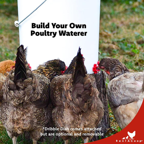 RentACoop installation tool ready for DIY setup