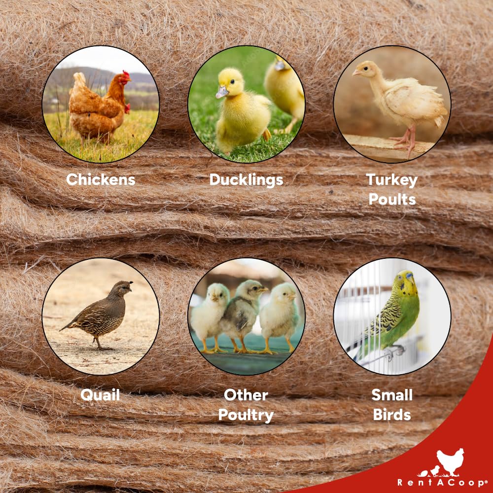 RentACoop jute fiber close up texture highlights eco friendly material.
