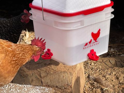 RentACoop large 2-gallon capacity reduces refill frequency