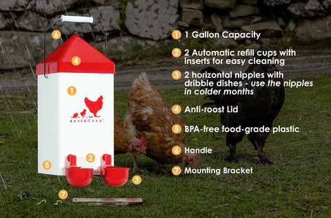 RentACoop 1-gallon capacity reduces frequent refills for larger flocks.