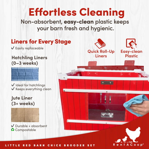RentACoop Little Red Barn Brooder feeder and waterer setup