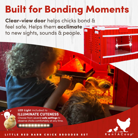 RentACoop Little Red Barn Brooder folded flat for storage