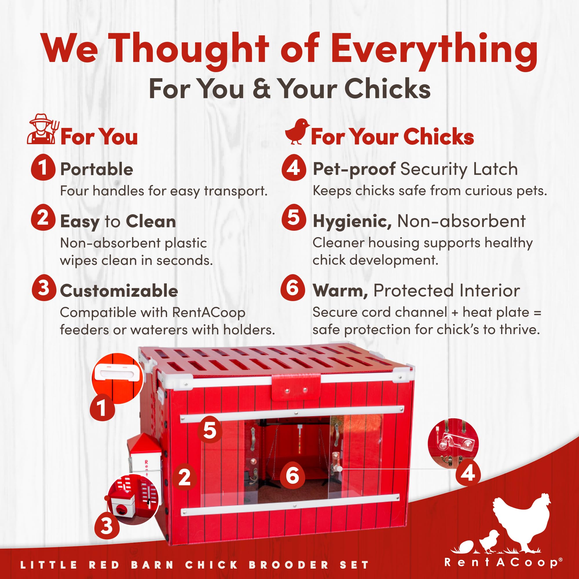 RentACoop Little Red Barn Brooder lid opened for easy access