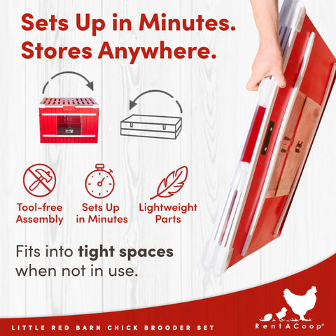 RentACoop Little Red Barn Brooder hatchling liners for early weeks