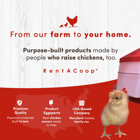 RentACoop Little Red Barn Brooder security latch in use