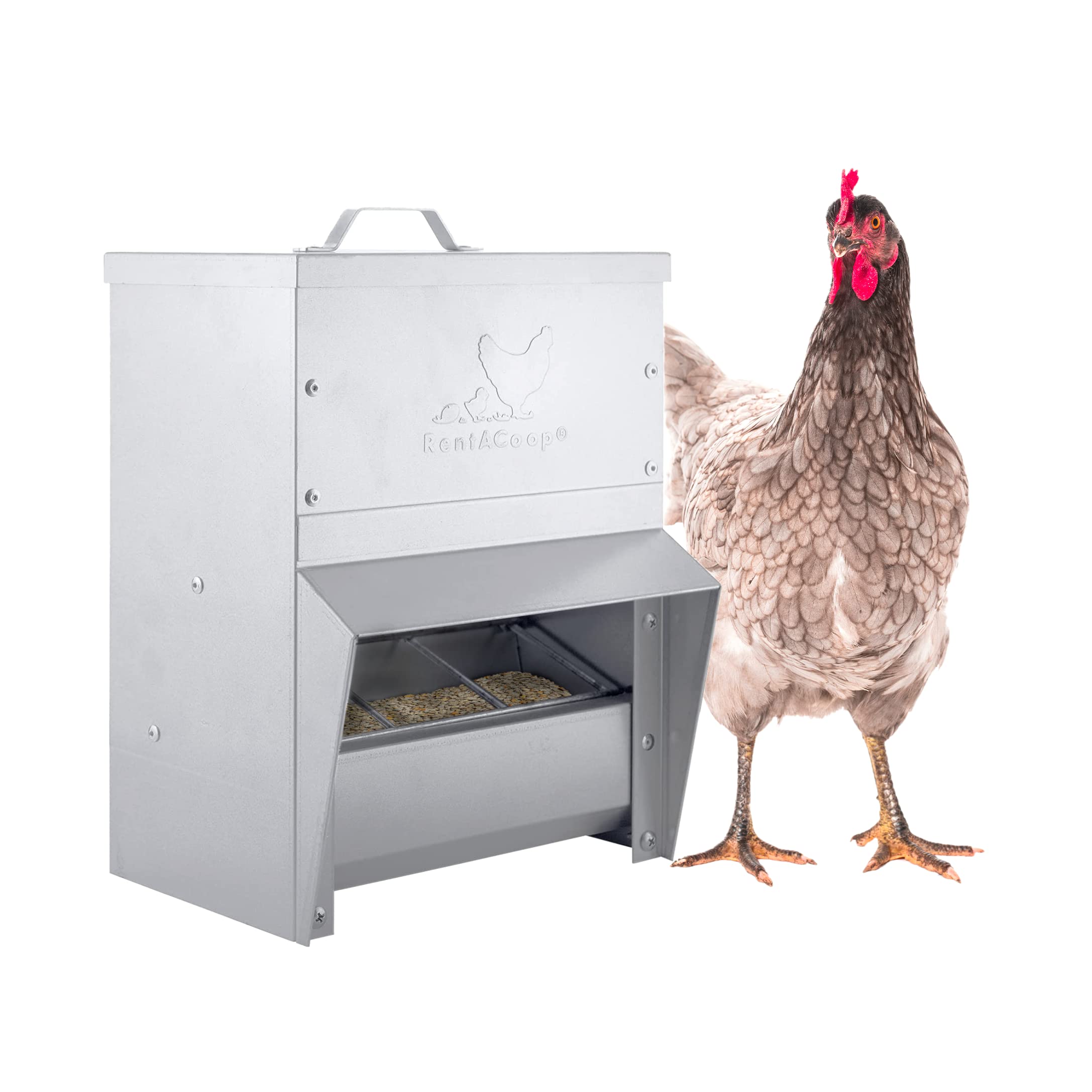 RentACoop metal trough feeder with lid shown in outdoor coop setting for flock feeding