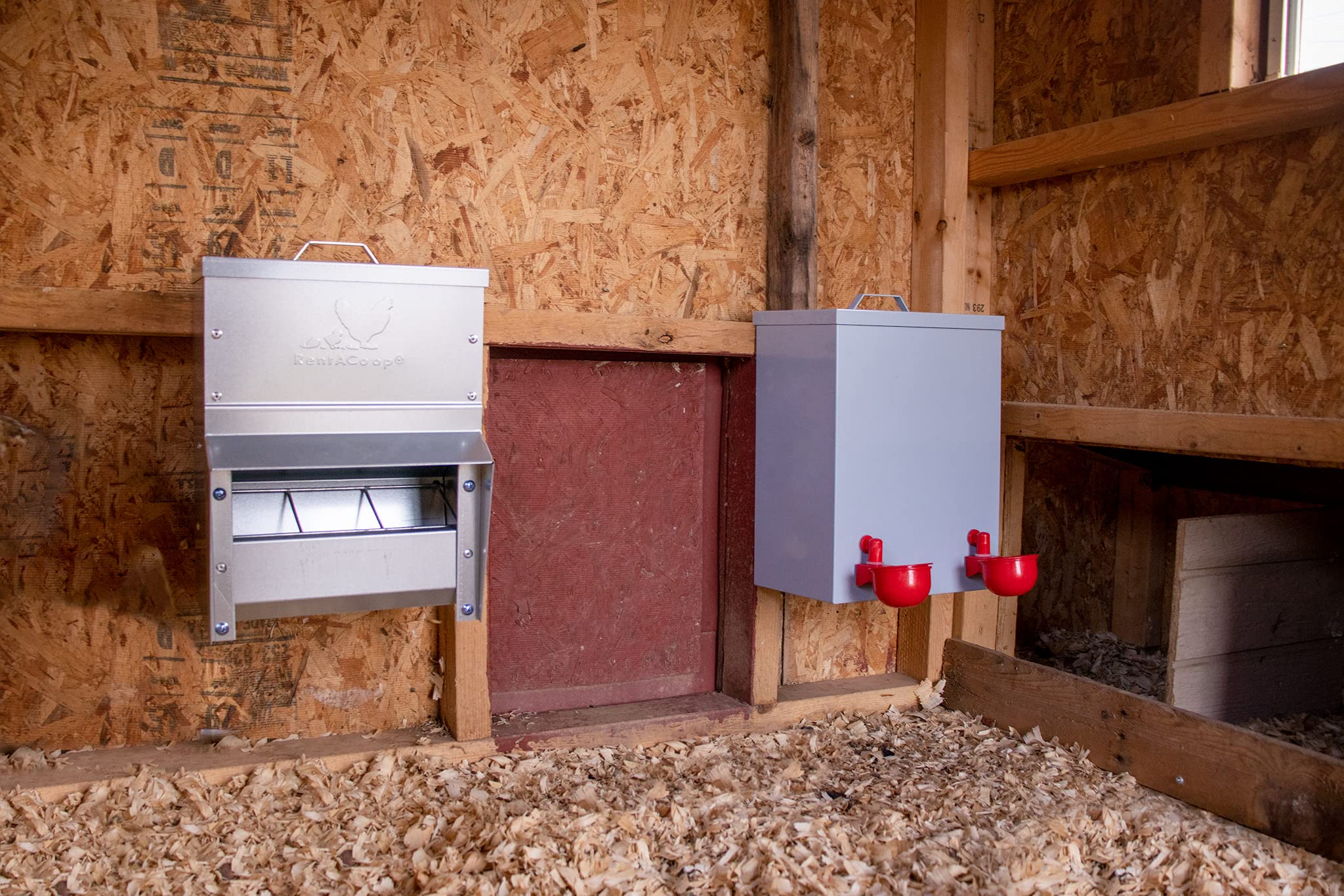 Outdoor setup featuring RentACoop trough feeder in a coop yard