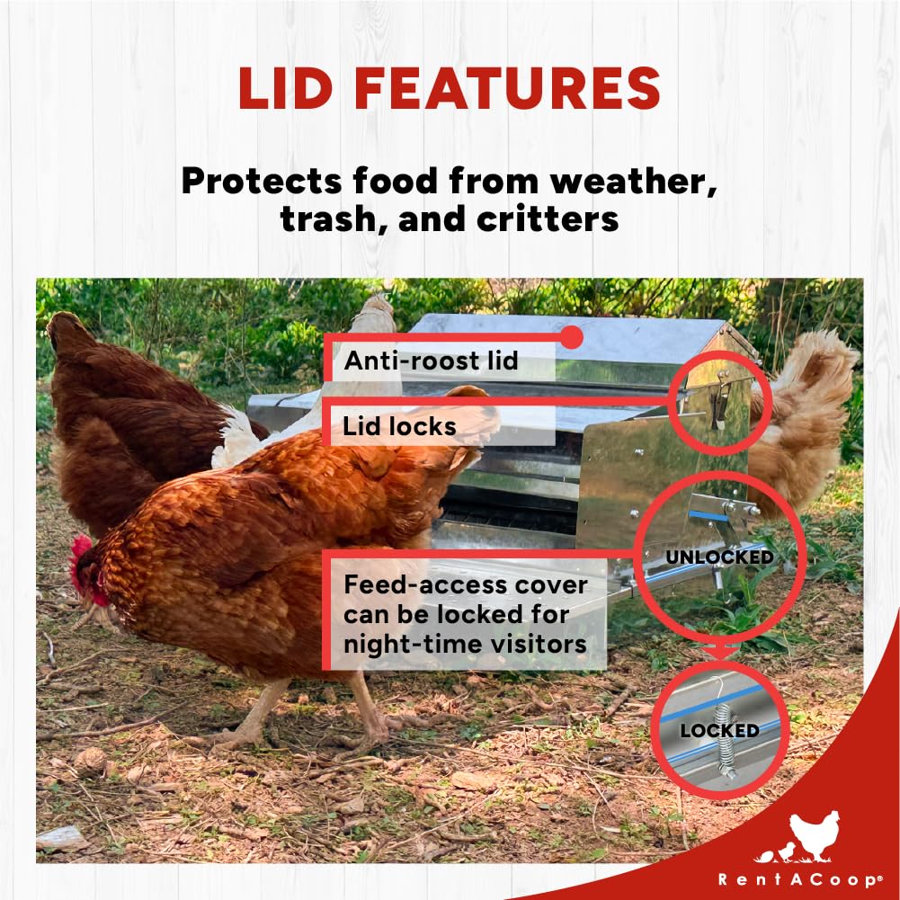 Rain cover on RentACoop feeder protecting dry feed