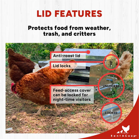 Rain cover on RentACoop feeder protecting dry feed