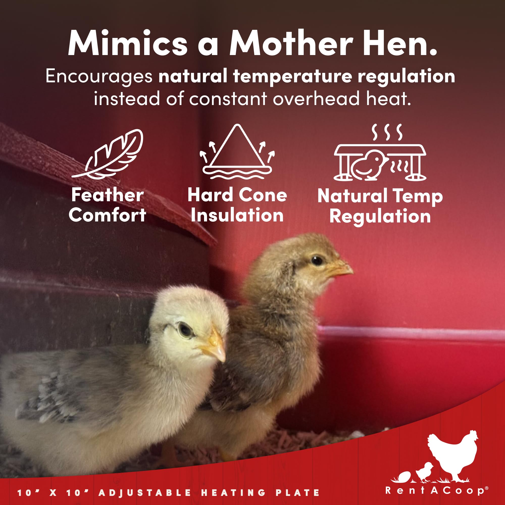 RentACoop removable comfort feathers simulate mother hen warmth