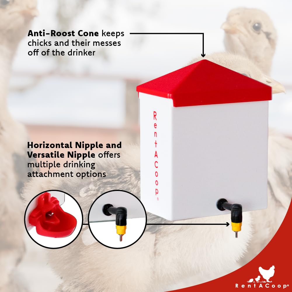 Sliding lid enables top-refill convenience for quick coop maintenance.